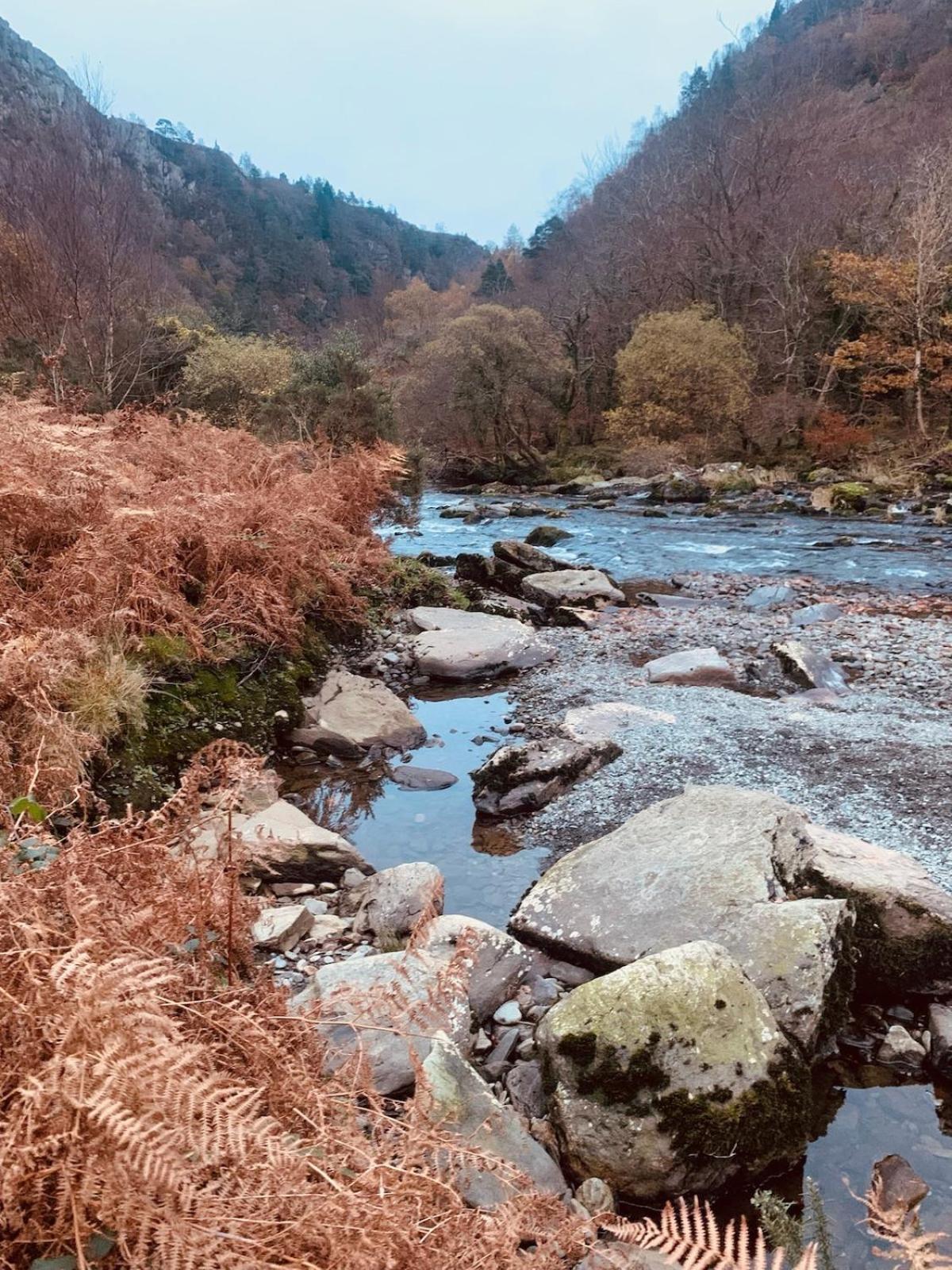 Tyn Y Simdde - Secluded Mountain Stay - Stunning Views Of Eryri Dolgellau Exterior foto